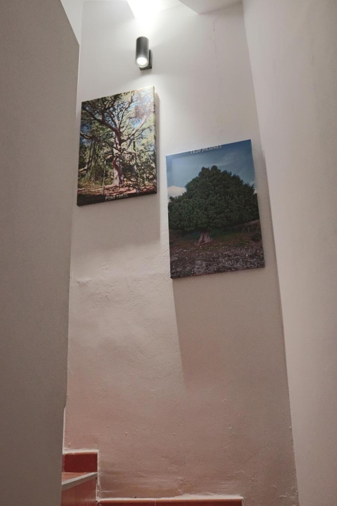 Villa Casa 25 Riópar Esterno foto
